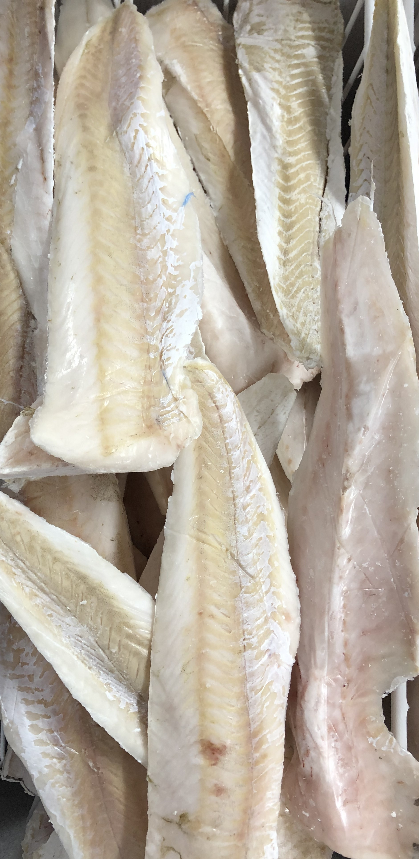 Morszczuk filet bez skóry 0% glazury