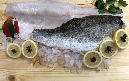 Sandacz Filet Świeży