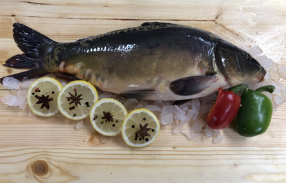 Karp patroszony